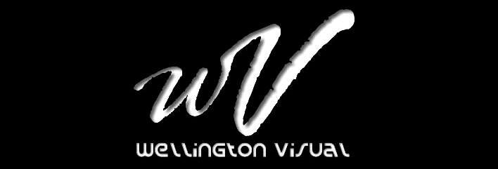 Estudio Visual